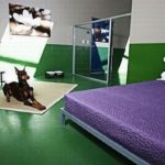 ANIMAL HOTELS – BASQUE COUNTRY – In the “Best Business Plan” competition